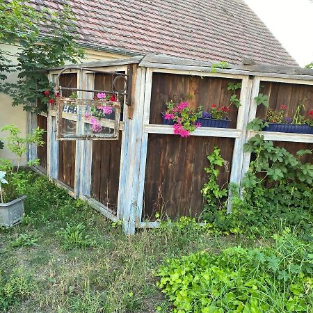 Ostsee Radlerpension Peitz Luaran gambar
